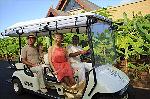 G�ste im Golfwagen