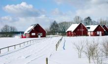 Robinson Club Fleesensee im Winter