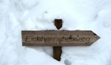 Eichhörnchenweg