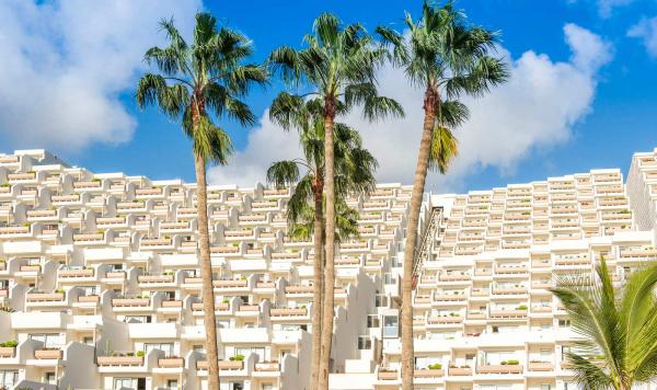 Blick auf die Hotelanlage mit einer Gruppe Palmen im Vordergrund