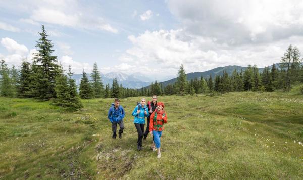 Wandergruppe, die über eine Wiese spaziert