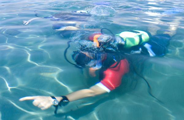 Tauchen Aldiana Cabarete