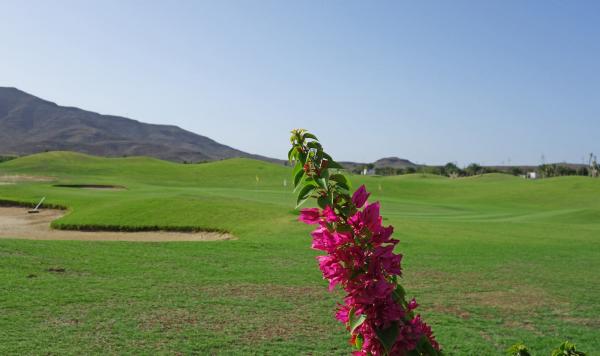 Idyllischer Golfplatz