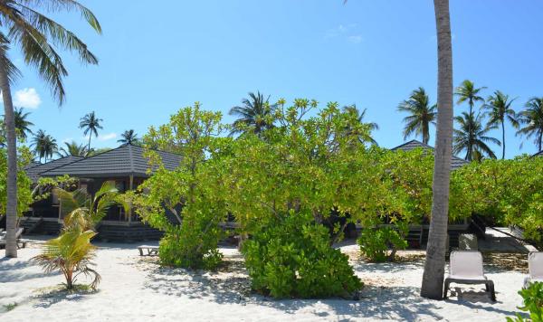 Natur pur auf den Malediven