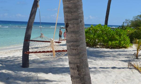 Relaxen auf der Hängematte