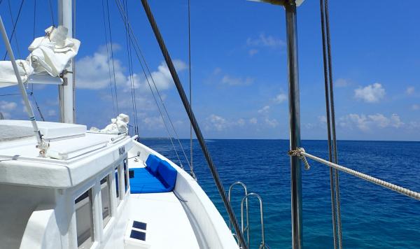 Rundfahrt mit dem Boot