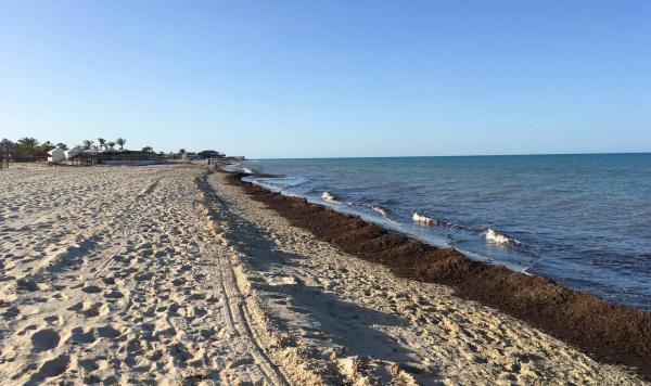Strand auf Djerba