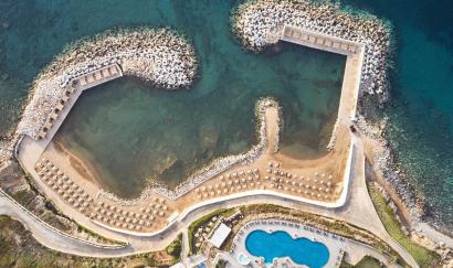 Bild von  The Royal Blue