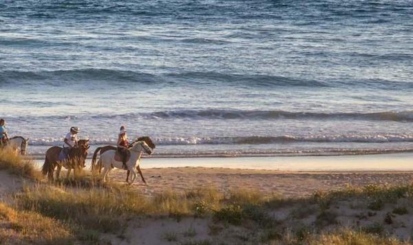 Reiten am Strand