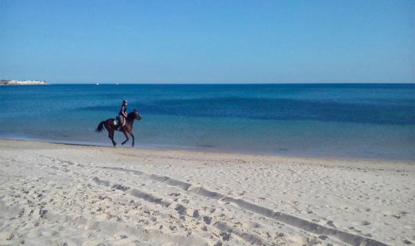 Reiten am Strand