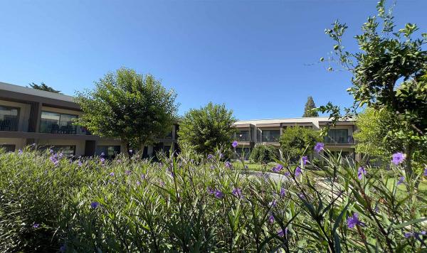 Grüner Bereich im Hotel