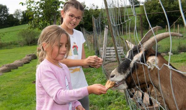 Urlaub mit tierischen Freunden