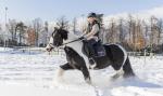 Reiten
