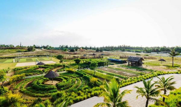 Grüner eigener Garten