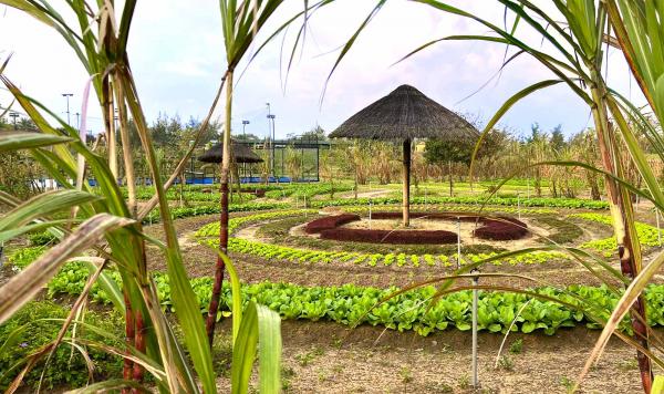 Clubeigener Kräutergarten