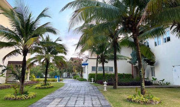 Grüne Palmen im Club