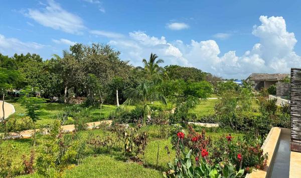 Grün bewachsene Anlage