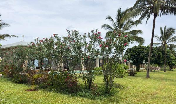 Grüne Pflanzen im Club