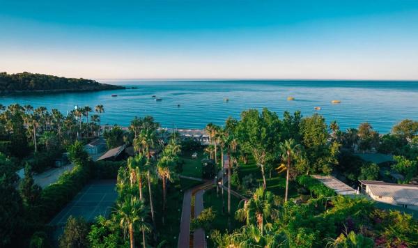 Meerblick Luftaufnahme