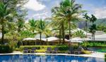 Palmen am Pool