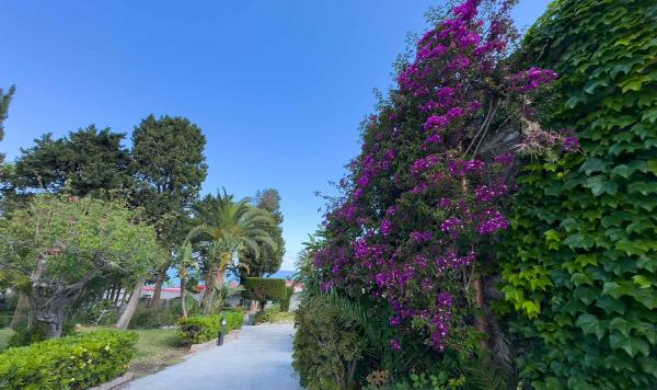 Blühende Blumen im Club