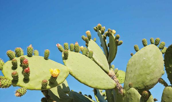 Griechische Atmosphäre