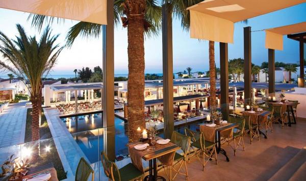 Restaurant Tavernaki Olive Oil