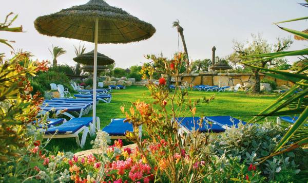 Liegen auf der Wiese