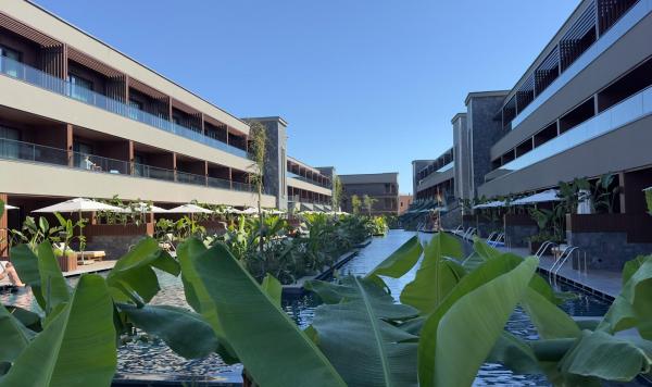 Bananenbäume im Club