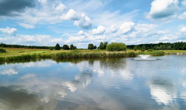 Teich am Golfplatz