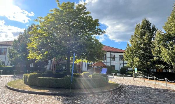 Grüne Anlage