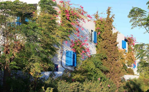 Bepflanzung im griechischen Club