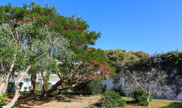 Blick auf die Gartenanlage