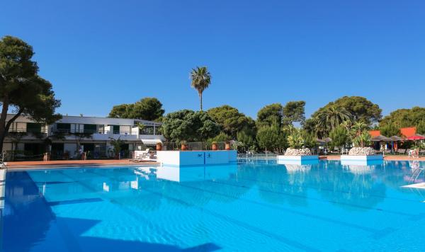 Blick auf den Pool und die Gartenanlage