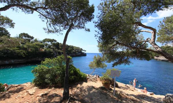 Natur rund um den Club