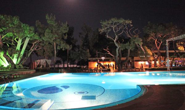 Polllandschaft bei Nacht