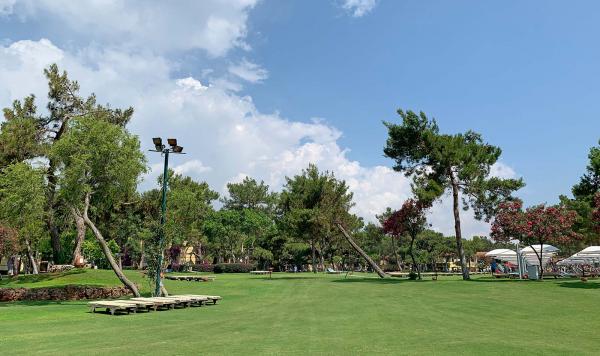 Liegen auf der Wiese