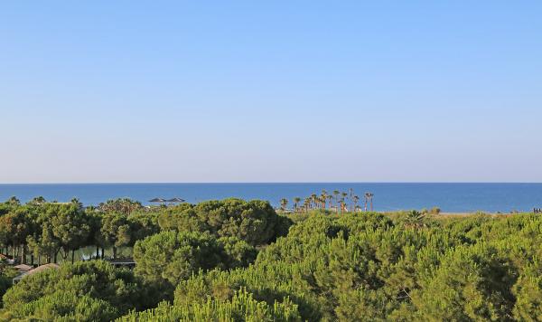 Blick auf den Strand
