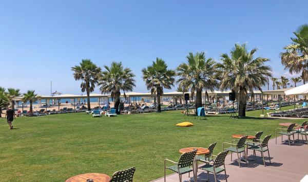 Liegewiese am Strand