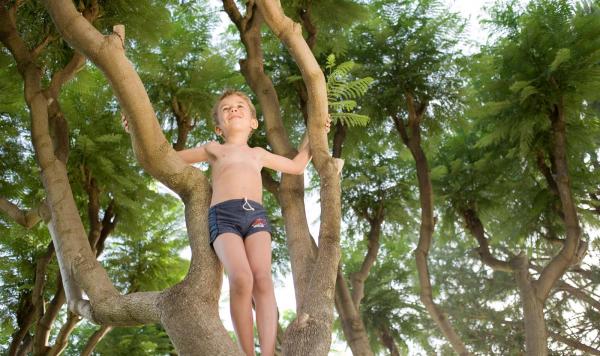 Kind kletter auf einem Baum