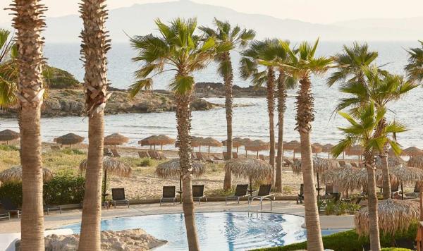 Palmen am Exotic Pool