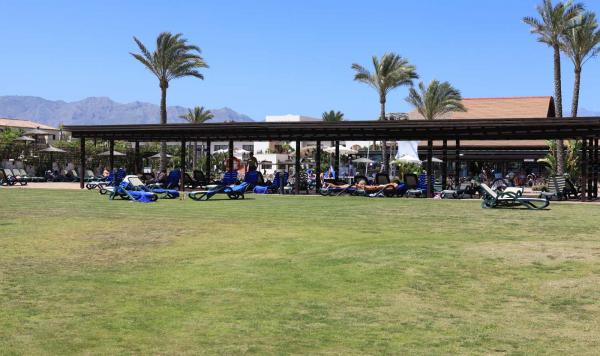 Liegestühle auf der Wiese