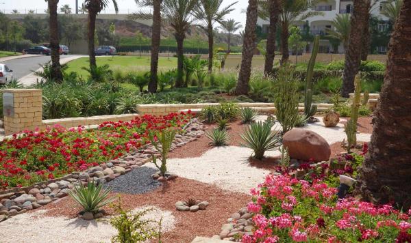 Gepflegte Gartenanlage