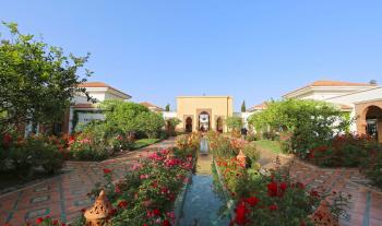 Blumenmeer