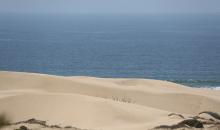 Dünen am Strand
