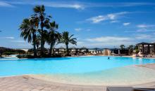 Pool mit Palmen und Liegemöglichkeiten