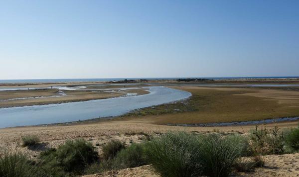 Landschaft um den Club