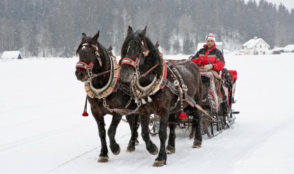 Kutschfahrt im Schnee