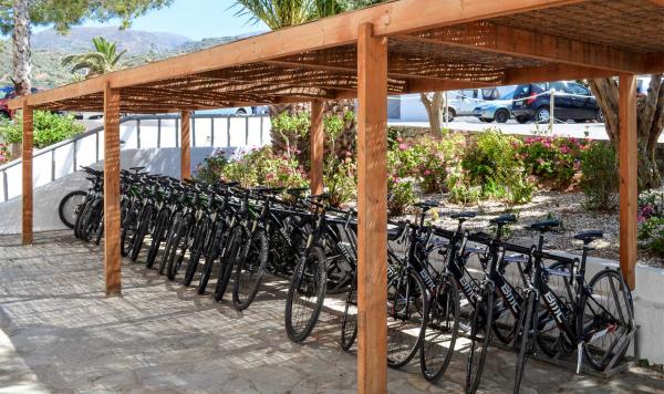 Gut sortierter Fahrradverleih