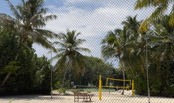 Beachvolleyball unter Palmen